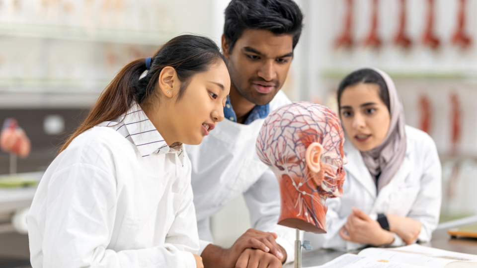 The Ultimate Guide to Study MBBS in Malaysia