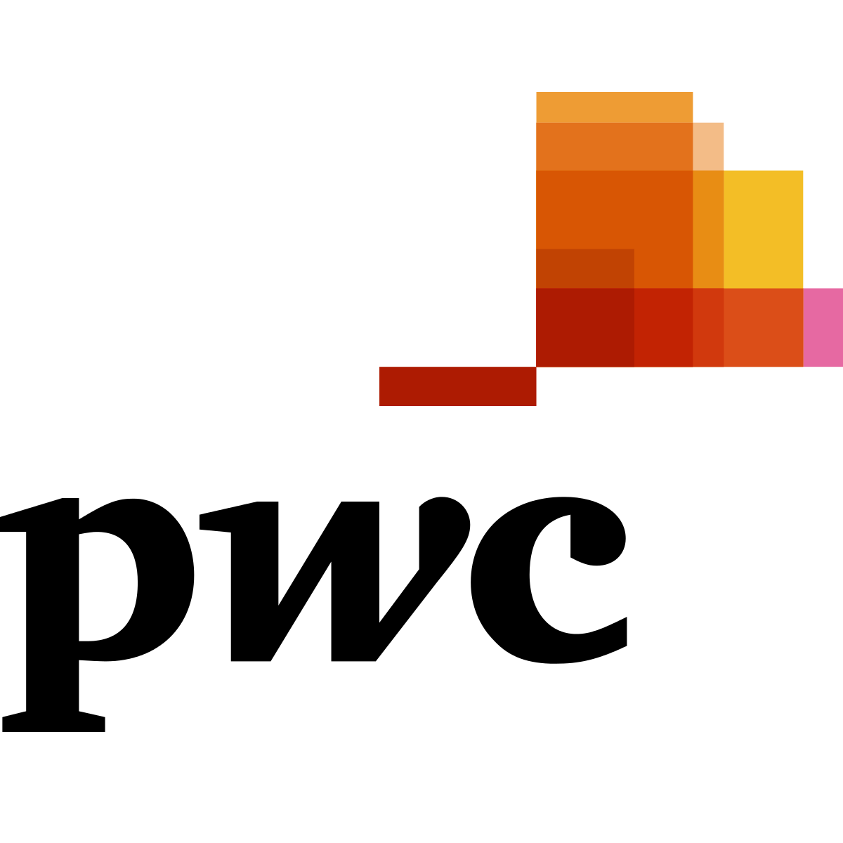 PwC You Plus Logo