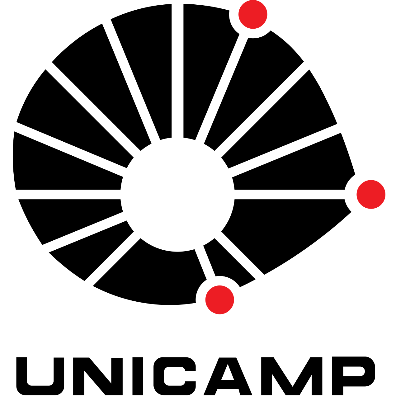 Universidade Estadual de Campinas (Unicamp) Logo