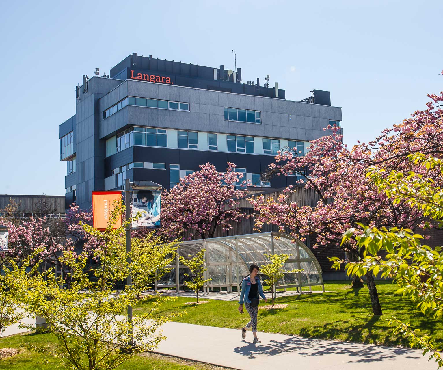 Langara College - Global Admissions